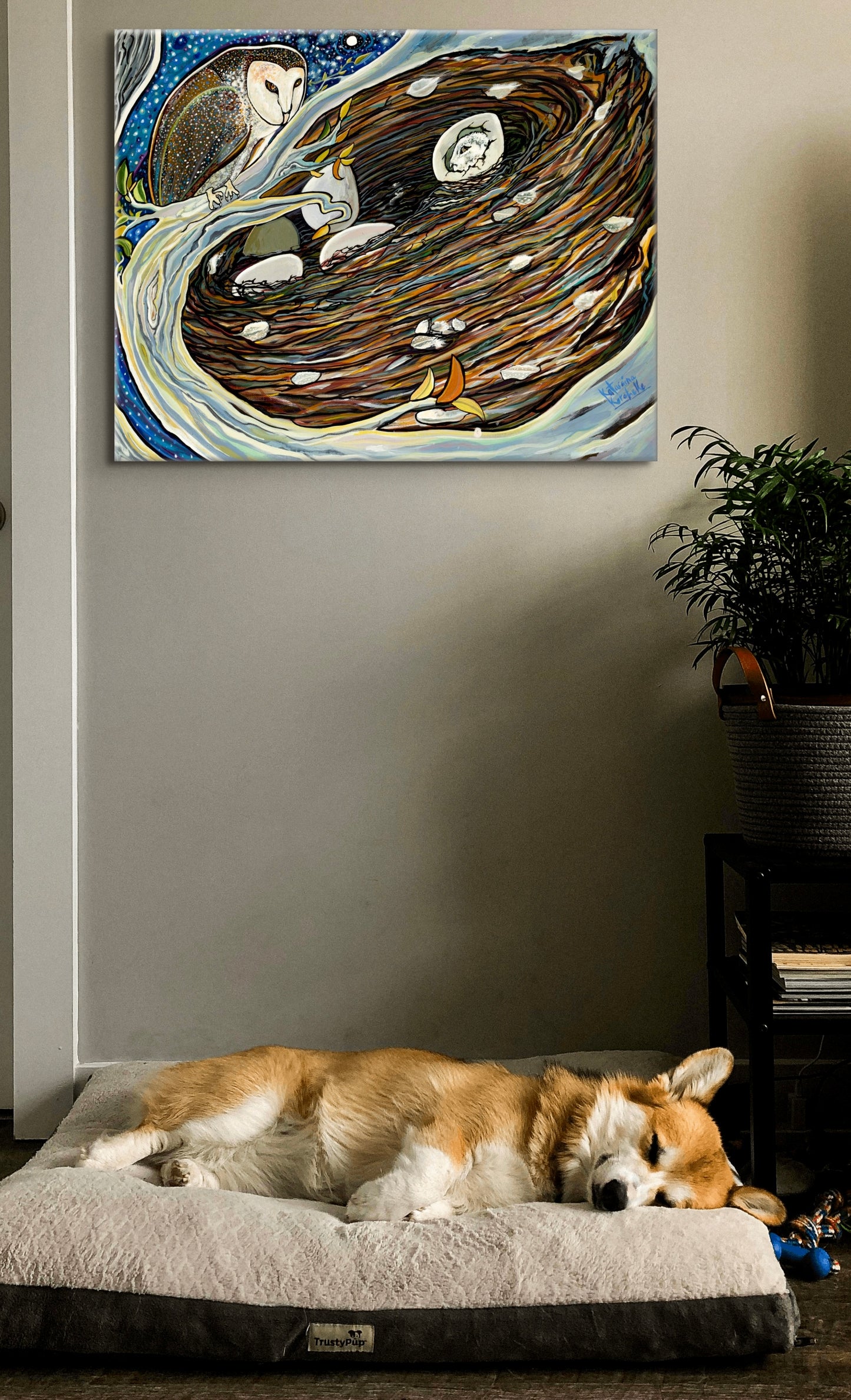 'Midnight Miracle' acrylic print