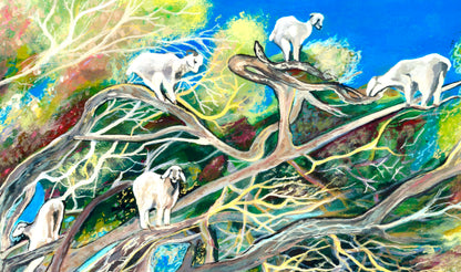 'Goats, They Climb Trees' acrylic print