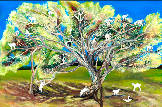 'Goats, They Climb Trees' Canvas Print