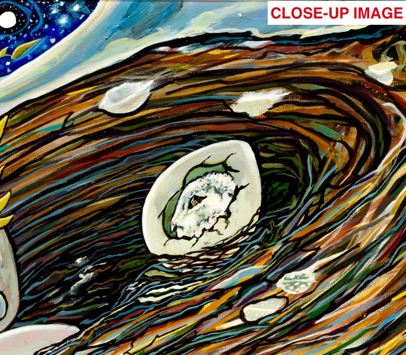 'Midnight Miracle' acrylic print